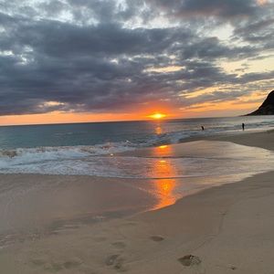 Meet your Posher, Haley rose